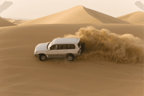 Desert Safari Adventure
