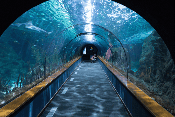 Abu Dhabi Sea World