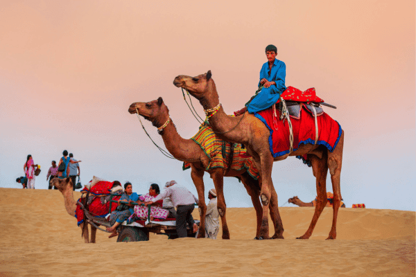 Desert Safari Adventure