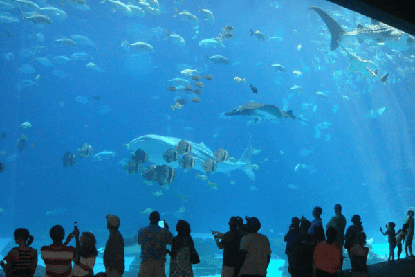 Abu Dhabi Sea World