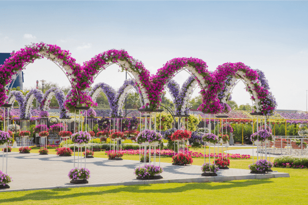 Dubai City Tour Half Day