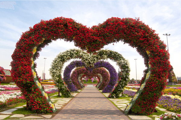 Dubai Miracle Garden Tickets
